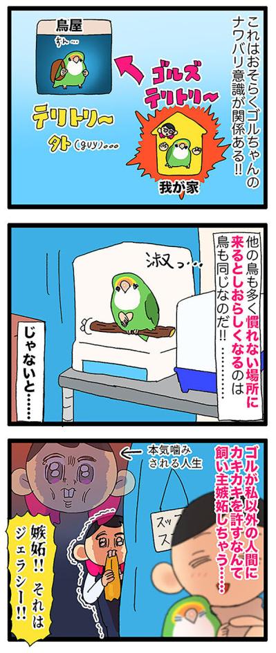 インコが猫をかぶってる！？／インコが店長を噛んだ【鳥マンガ＃65】（サムネイル画像5）
