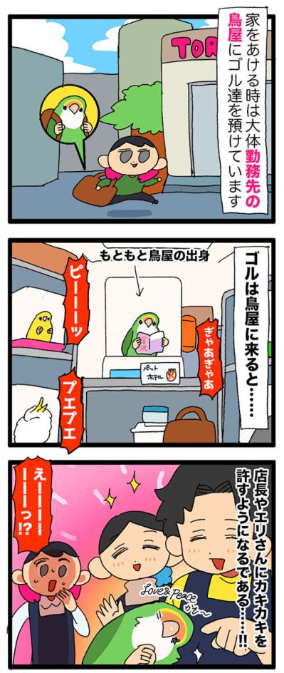 インコが猫をかぶってる！？／インコが店長を噛んだ【鳥マンガ＃65】（サムネイル画像4）
