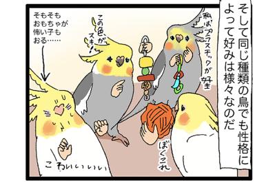 インコのおもちゃが選び放題！／今年が2か月で終了したのはなぜ？【鳥マンガ＃64】