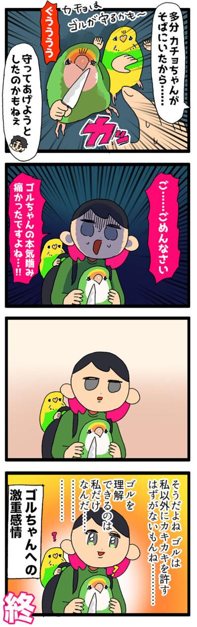 インコが猫をかぶってる！？／インコが店長を噛んだ【鳥マンガ＃65】（サムネイル画像7）
