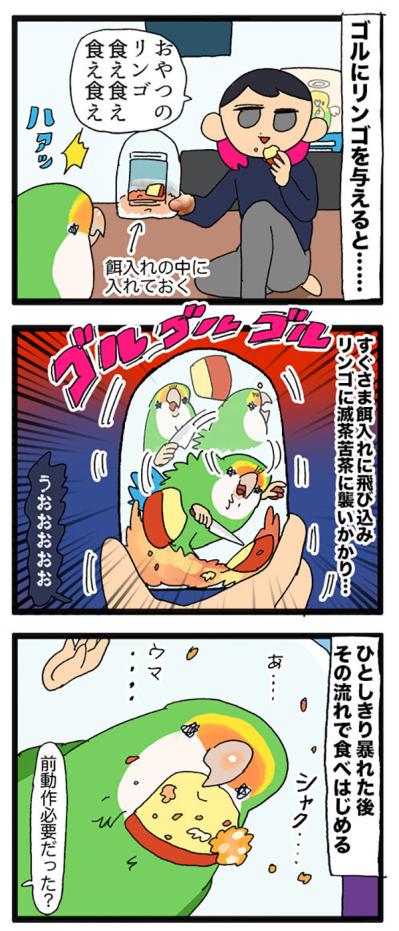 インコが固まった理由とは？／女帝インコ今昔【鳥マンガ＃63】（サムネイル画像3）