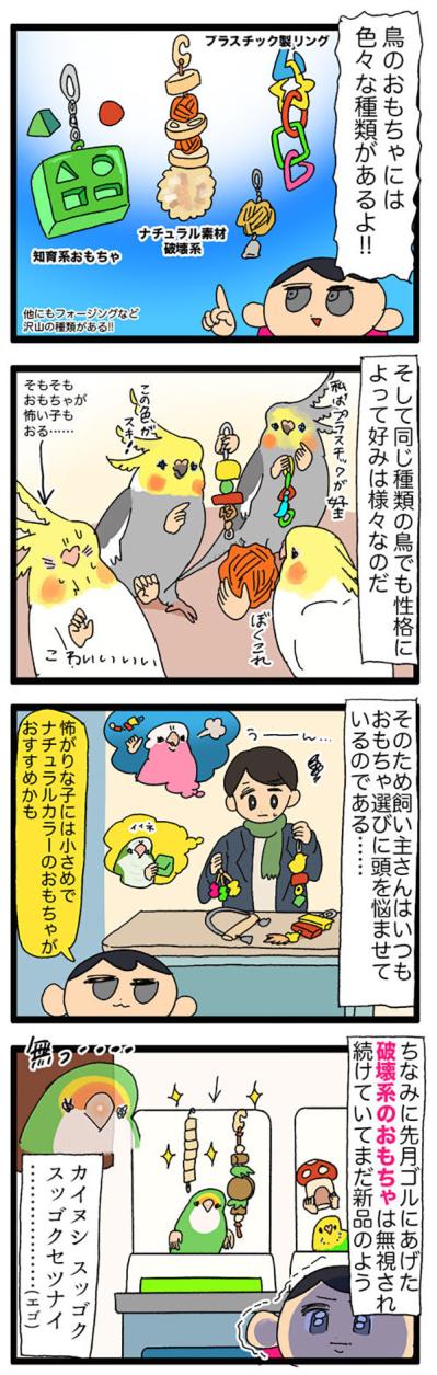 インコのおもちゃが選び放題！／今年が2か月で終了したのはなぜ？【鳥マンガ＃64】（サムネイル画像3）