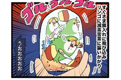 インコが固まった理由とは？／女帝インコ今昔【鳥マンガ＃63】