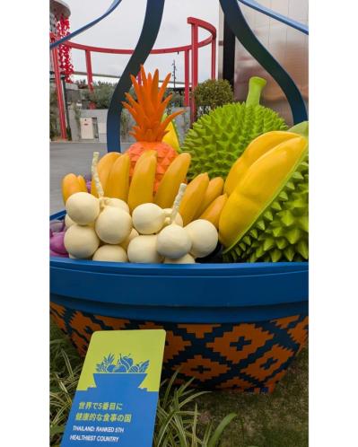 50代・大阪万博の楽しみ方「9時間の滞在でどのくらい回れた？？」大屋根リングに上がる時の注意事項も！（サムネイル画像5）