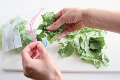 廃棄食材がぐ〜んと減る冷蔵庫の使いこなし方とは？今すぐ実行したい【フードロス対策】（サムネイル画像5）