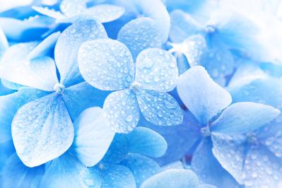 泉鏡花の『雨ふり』あらすじ紹介。自然と人間、時代の情緒を味わうひととき