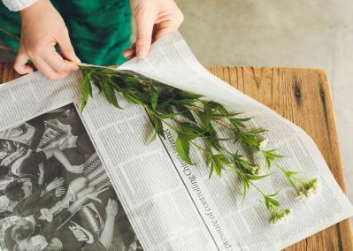 花のもちが格段に変わるひと手間【フラワーアレンジメント】プロは「すぐ水につけない」！？（サムネイル画像4）