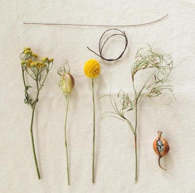 初心者でもできる【フラワーアレンジメント】ドライフラワーで簡単！ ミニブーケの作り方（サムネイル画像5）