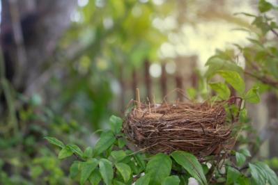 「子どもが独立し、心に穴があきました」禅僧・枡野俊明さんに聞く「空の巣症候群」どう対応する？  （サムネイル画像2）