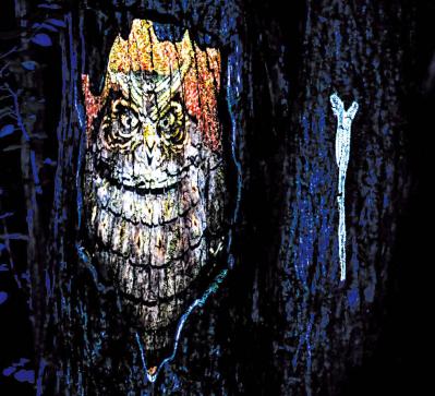 阿寒湖の森ナイトウォーク（サムネイル画像）