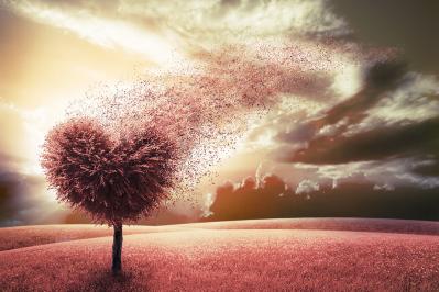 【戦後80年に読みたい一作】新渡戸稲造の『真の愛国心』あらすじ紹介。約100年前につづられた「真の愛国心」とは？