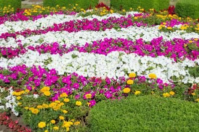 【ガーデニング】庭がもっと素敵になる。映える空間をつくる基本の5ポイントとは？（サムネイル画像2）