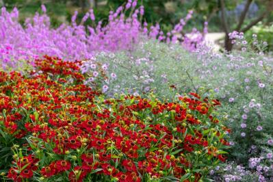 【ガーデニング】庭がもっと素敵になる。映える空間をつくる基本の5ポイントとは？（サムネイル画像6）