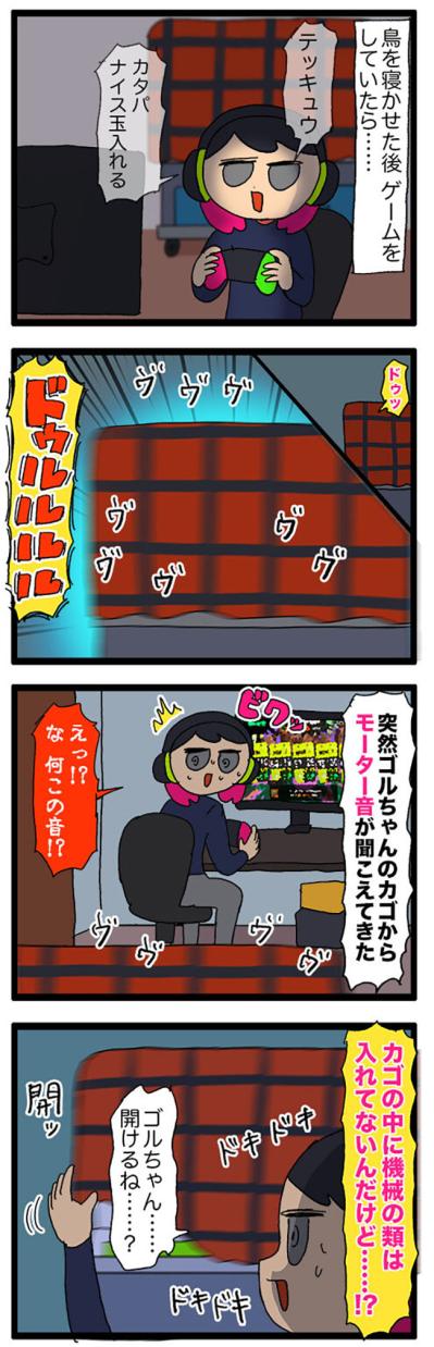 女帝インコ気になる異音／欲張り注意！インコの顎の下モフモフを触る幸福…【鳥マンガ＃68】（サムネイル画像3）