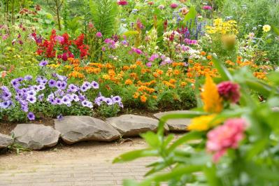 【ガーデニング】庭がもっと素敵になる。映える空間をつくる基本の5ポイントとは？（サムネイル画像9）