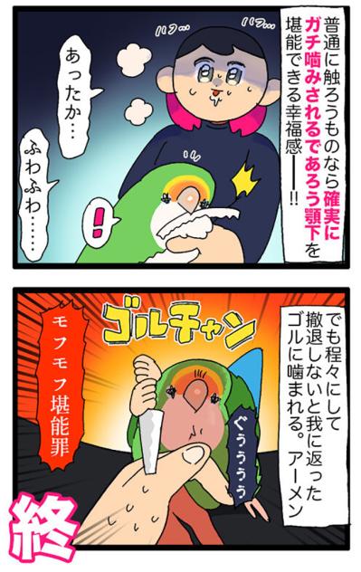 女帝インコ気になる異音／欲張り注意！インコの顎の下モフモフを触る幸福…【鳥マンガ＃68】（サムネイル画像6）