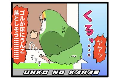 インコの爆弾をミラクルキャッチ！／女帝インコのうれしい心変わり【鳥マンガ＃69】