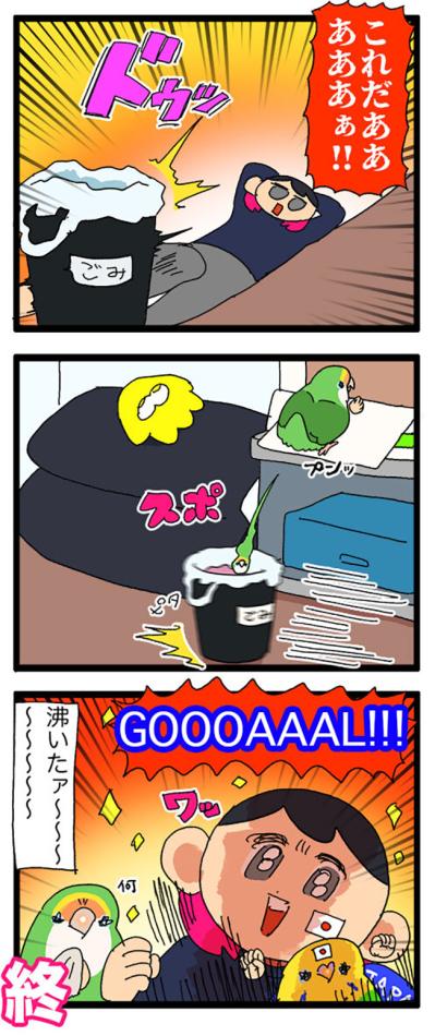 インコの爆弾をミラクルキャッチ！／女帝インコのうれしい心変わり【鳥マンガ＃69】（サムネイル画像4）