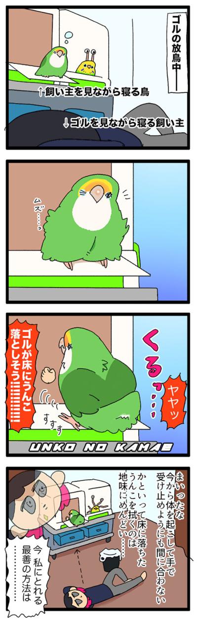 インコの爆弾をミラクルキャッチ！／女帝インコのうれしい心変わり【鳥マンガ＃69】（サムネイル画像3）