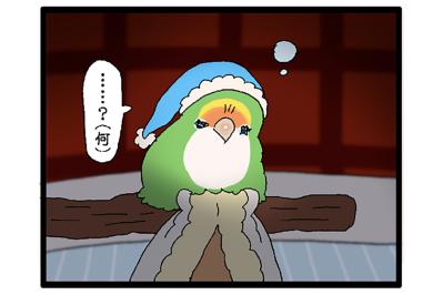 女帝インコ気になる異音／欲張り注意！インコの顎の下モフモフを触る幸福…【鳥マンガ＃68】