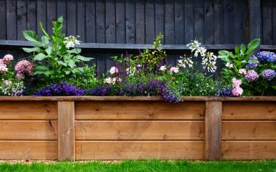 【ガーデニング】庭がもっと素敵になる。映える空間をつくる基本の5ポイントとは？（サムネイル画像16）