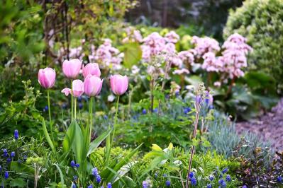 【ガーデニング】庭がもっと素敵になる。映える空間をつくる基本の5ポイントとは？（サムネイル画像5）