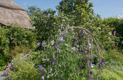 【ガーデニング】庭がもっと素敵になる。映える空間をつくる基本の5ポイントとは？（サムネイル画像14）