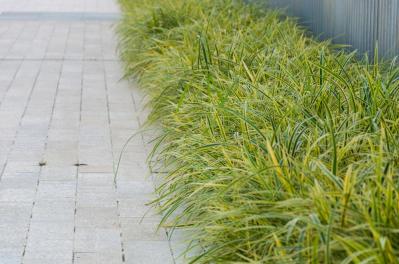 【ガーデニング】庭がもっと素敵になる。映える空間をつくる基本の5ポイントとは？（サムネイル画像17）