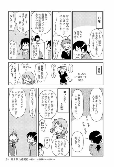 高すぎるウィッグ問題。私が見つけた安いウィッグとその秘密【乳癌日記 #19】（サムネイル画像2）