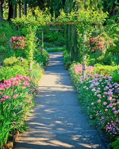 【ガーデニング】6月はバラの挿し木のベストシーズン！（サムネイル画像6）