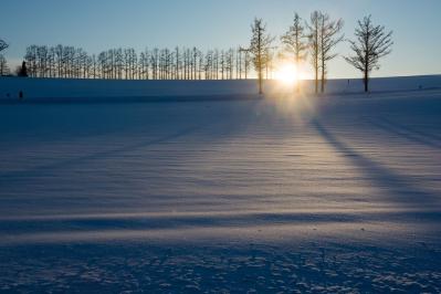 有島武郎の『生まれいずる悩み』あらすじ紹介。才能と現実のせめぎ合い——若者の壮絶な葛藤とは？