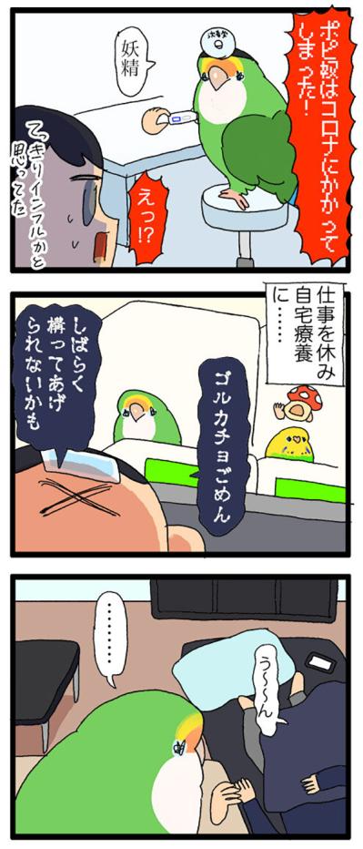体調不良中にやってほしくないこと／インコの話す「ケチョイ」ってどんな意味？【鳥マンガ＃71】（サムネイル画像4）