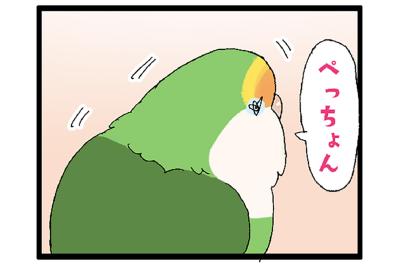 期間限定ボイス・インコの「ぺっちょん」一体どんな意味？【鳥マンガ＃72】