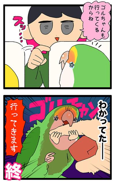 女帝インコのお見送り。そしてお約束の…／ゴルちゃんの葛藤【鳥マンガ＃70】（サムネイル画像5）