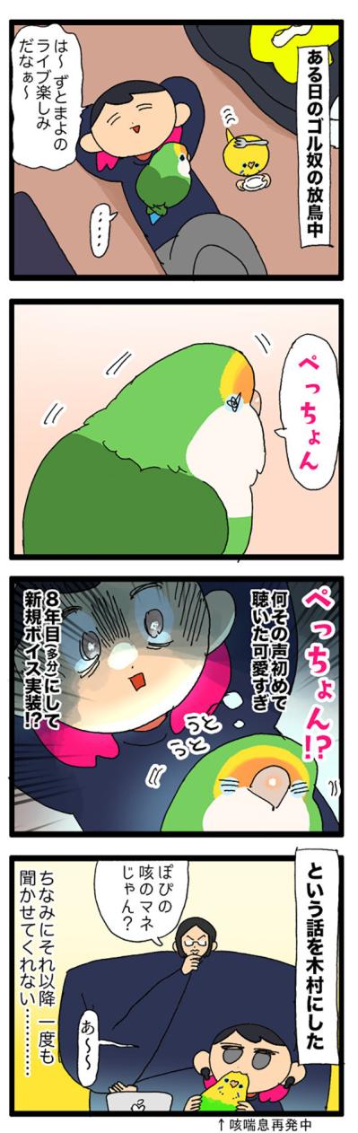 期間限定ボイス・インコの「ぺっちょん」一体どんな意味？【鳥マンガ＃72】（サムネイル画像3）