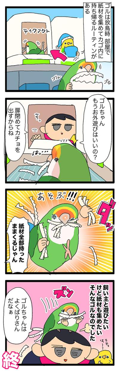 女帝インコのお見送り。そしてお約束の…／ゴルちゃんの葛藤【鳥マンガ＃70】（サムネイル画像6）