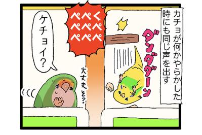体調不良中にやってほしくないこと／インコの話す「ケチョイ」ってどんな意味？【鳥マンガ＃71】