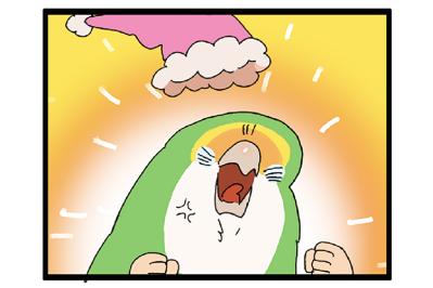 女帝インコが大好きなおもちゃ／自分のことだけ見てほしい！【鳥マンガ＃73】