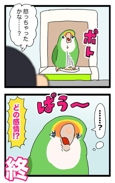 期間限定ボイス・インコの「ぺっちょん」一体どんな意味？【鳥マンガ＃72】（サムネイル画像5）