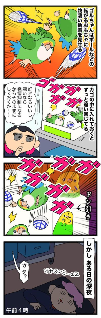 女帝インコが大好きなおもちゃ／自分のことだけ見てほしい！【鳥マンガ＃73】（サムネイル画像4）