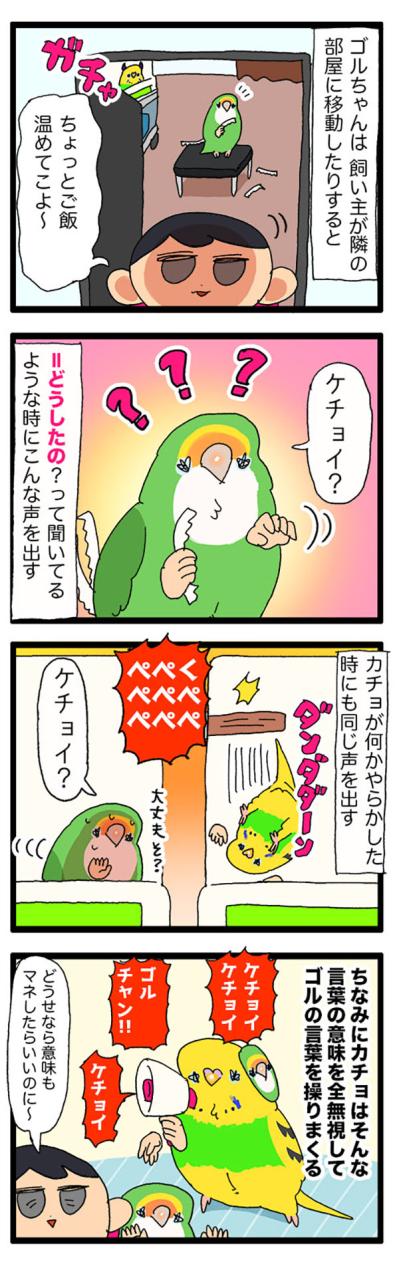 体調不良中にやってほしくないこと／インコの話す「ケチョイ」ってどんな意味？【鳥マンガ＃71】（サムネイル画像6）