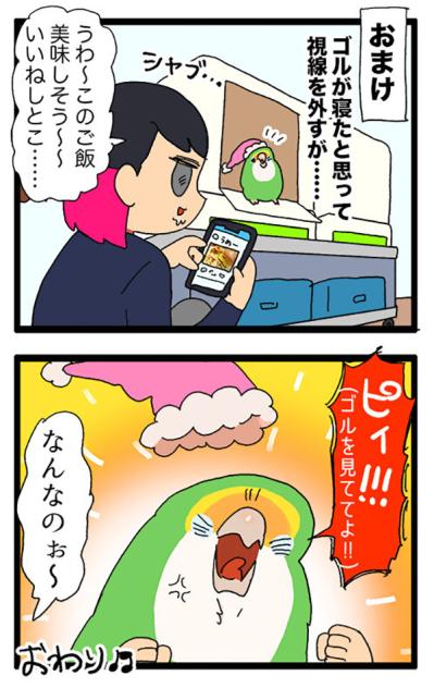 女帝インコが大好きなおもちゃ／自分のことだけ見てほしい！【鳥マンガ＃73】（サムネイル画像7）
