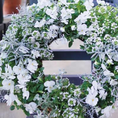 ハンギングリース（サムネイル画像）