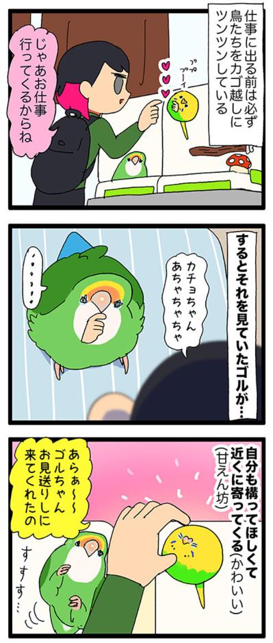 女帝インコのお見送り。そしてお約束の…／ゴルちゃんの葛藤【鳥マンガ＃70】（サムネイル画像4）