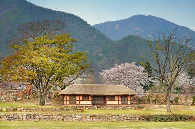 韓国ドラマ【ホジュン】ダヒ（パク・ウンビン）との神回から、“寸止め”3回の緊迫シーンまで見どころ満載！38〜47話レビュー（サムネイル画像2）