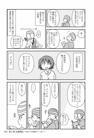 「売れません」の真実：乳がん患者を支える胸パッド専門店で断られたこと【乳癌日記 #43】（サムネイル画像2）