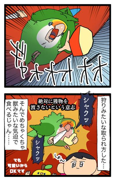 コザクラインコ・ゴルちゃんの謎行動！頭ぶつけた意外な理由とは？【鳥マンガ＃74】（サムネイル画像7）
