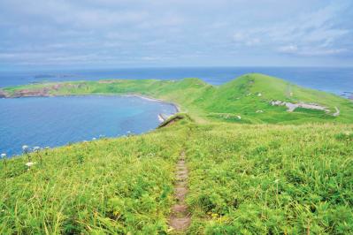 【夏の島旅】高山植物と海産物の宝庫・北海道【礼文島】を島旅のプロが深掘り！（サムネイル画像3）
