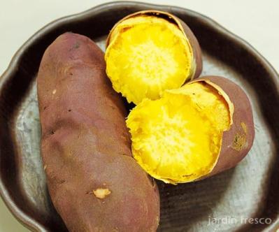 苗や肥料、プランターが【最大25%OFF！】ベランダで始めるさつまいも栽培!?【Amazonタイムセール】（サムネイル画像2）