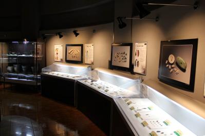 【夏の島旅】高山植物と海産物の宝庫・北海道【礼文島】を島旅のプロが深掘り！（サムネイル画像7）